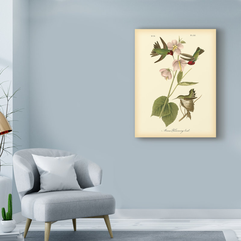 « anna hummingbird », reproduction de peinture à l’huile sur toile tendue, H 47 po x l 35 po x P 2 po