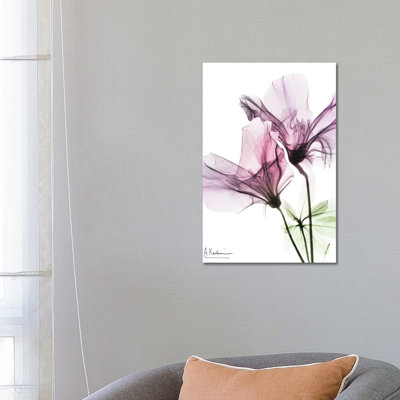 Splendid Beauty II by Albert Koetsier - Wrapped Canvas Print