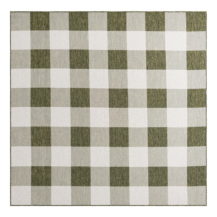 Tereon Checkered Machine Made Power Loom Polypropylene Plastic Indoor/Outdoor Area Rug in Green