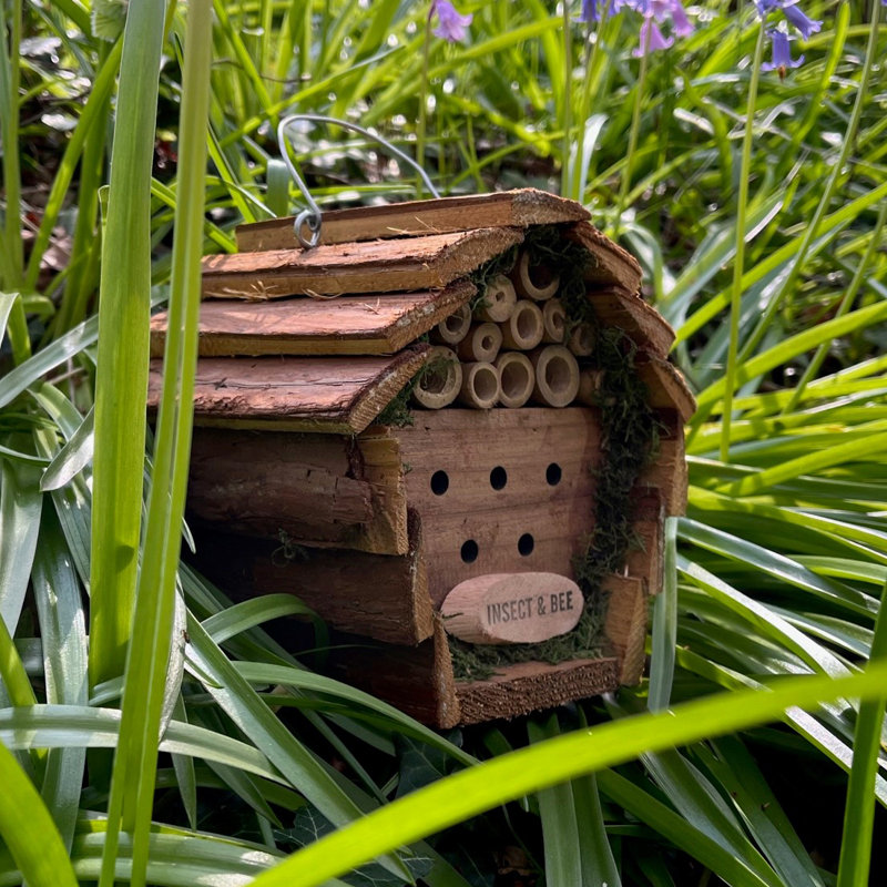 Ehsan Hanging Bumblebee House