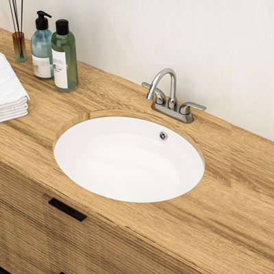 Lavabo de salle de bain ovale encastré en céramique avec trop-plein 18 po x 15 po - Moderne, poli, avec taches et érosion blanc encastré, croissance