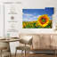 Champ de tournesols Harnek Akeno-108736041