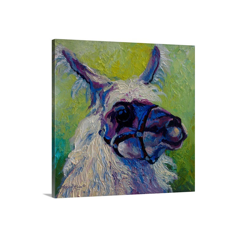 «Drissia Lillocet Llama», reproduction d'art, H 30 po x l 30 po x P 1,5 po, Toile