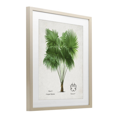 «Fan Palm», reproduction sous verre encadrée, conception de Val Rhodes
