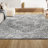Blane Modern Persian Vintage Medallion Light Gray Rug-1573434391