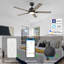 Ventilateur de plafond standard 60 po à 5 pales avec télécommande et éclairage inclus Amonette 60 po-1267311996-1267311999