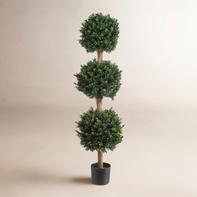 Brooklyn 60" Topiary in Planter