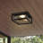 Matte Black 10'' W LED Outdoor Flush Mount