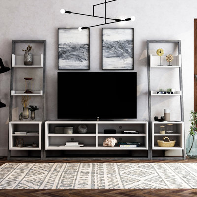 Fresquez 2-Piece Bookcase and TV Console Set