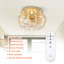 Liles 12.5'' Farmhouse Boho Caged Ceiling Fan with Lights and Remote Control