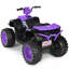 Quad pour enfants en voiture-58712655