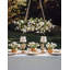 Florienne Cherry Blossom Garden Chandelier-1535537609