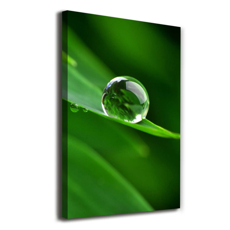 A Blade Of Grass - Wrapped Canvas Print