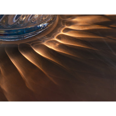 Vorrlws Light Study