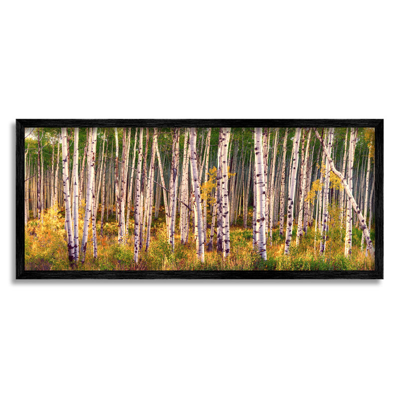 Art mural sur toile Stupell Industries Autumn Birch Trees par Lena Owens, H 10 po x l 24 po x P 1,5 po