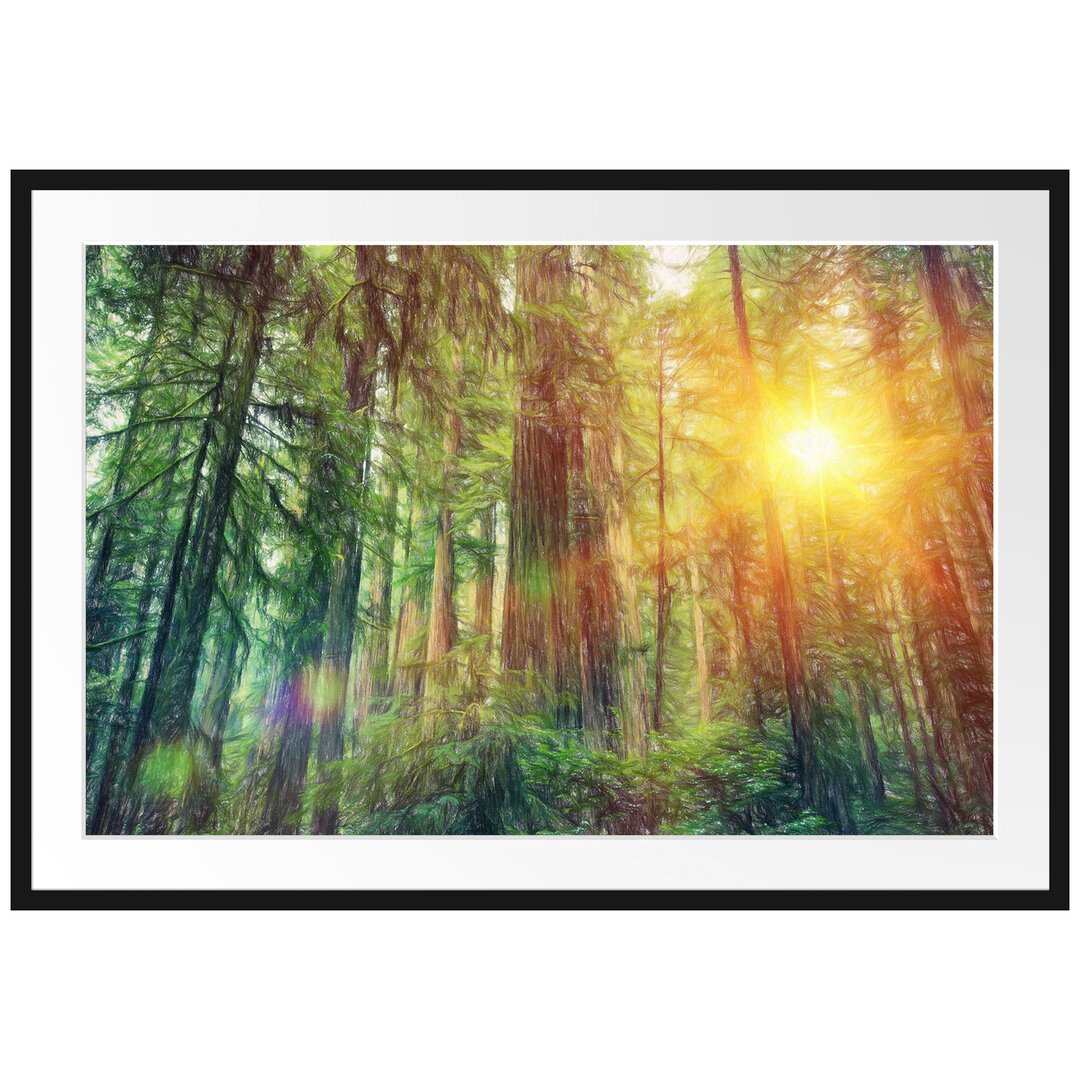 Gerahmtes Poster Wald bei Sonnenlicht