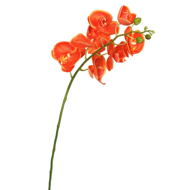 Tige d'orchidée artificielle 35 "Real Touch 35", Orange