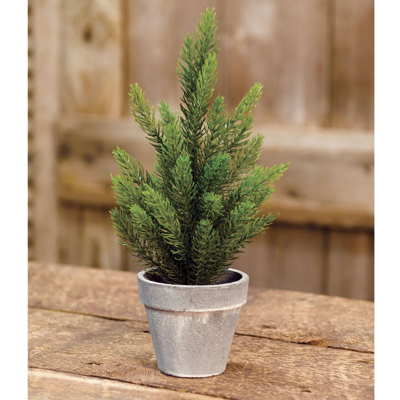 Arbre de Noël 12'
