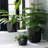 Tuxton Geometric Plastic Indoor/Outdoor Planter-98807274-98807277