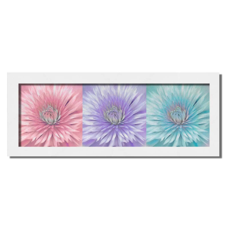 Clematis Triptych by Hal Halli. Paper Print - Mounted & Framed with Clear Acrylic, image size, 19" H x 49" W