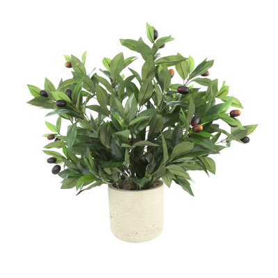 Faux Olive Tree Plant in Fiberstone Pot
