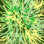 «Ferryhill Rosie Brown Nature Sparkler» par Rosie Brown, reproduction sur toile tendue