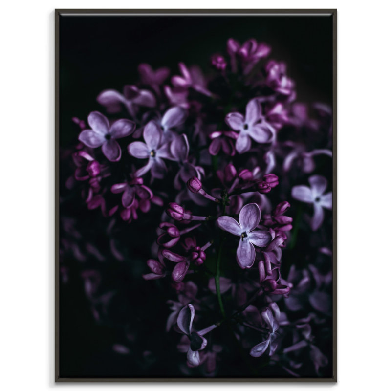Print on Canvas, Wrapped Canvas, 51cm H x 41cm W