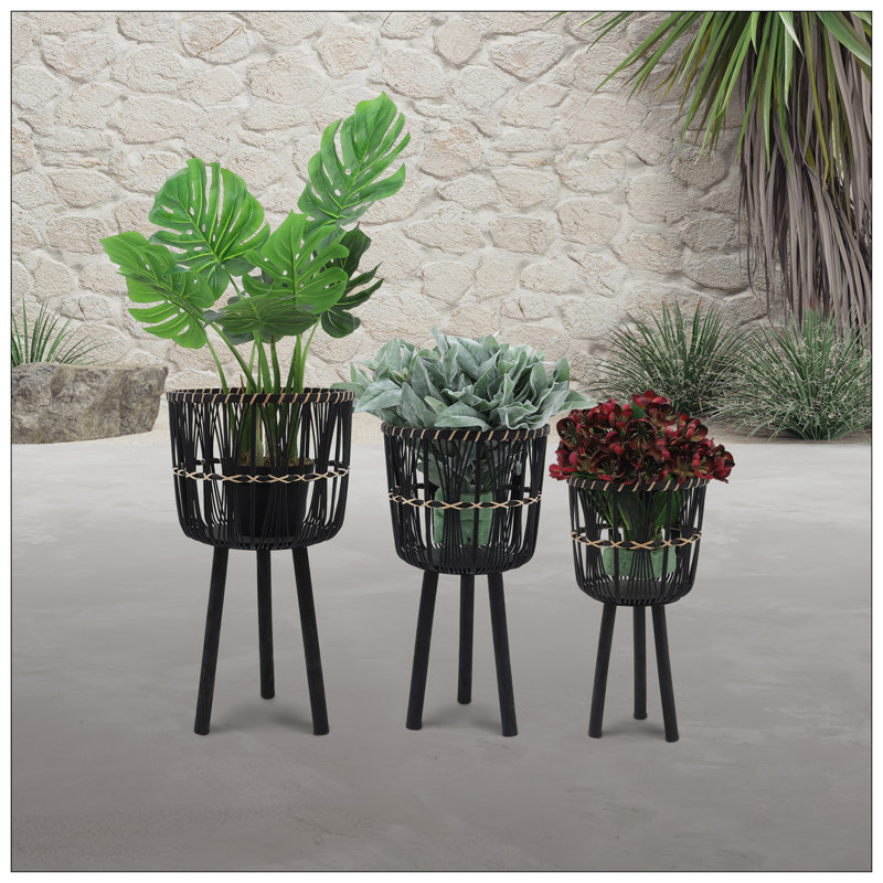 S / 3 POT DE BAMBOU 11/13/15 ", NOIR