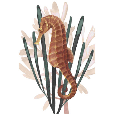 Hippocampes II