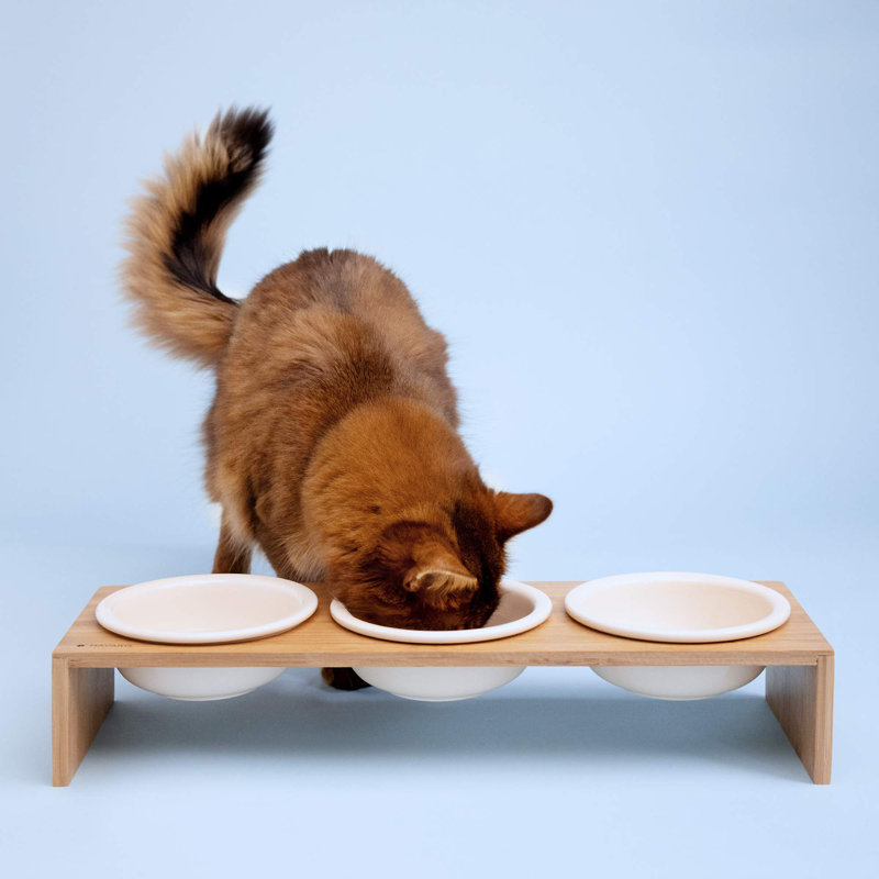 Elevated Feeder