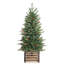 Arbre de Noël pin 4 pi Hardesty