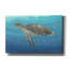 «Ocean Sea Turtle II» par Tim O'toole, art mural sur toile-763831254