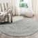 Olius Performance Oriental Rug