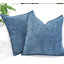 Housses de coussin Chevron -101513215-101314192-101314195