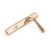 Polished Bronze