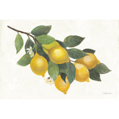 Lemon Branch I - Wrapped Canvas Print