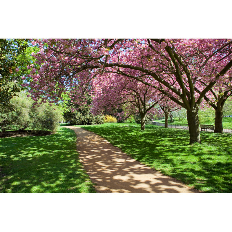 " Hyde Park " by Ruivalesousa, 8" H x 12" W  