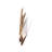 Mojave 2-Light Wall Sconce