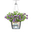 Hanging Planter-16493106-66329966
