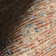 Persian Medallion Tassel Area Rug