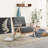 Accent Chair-2089079653