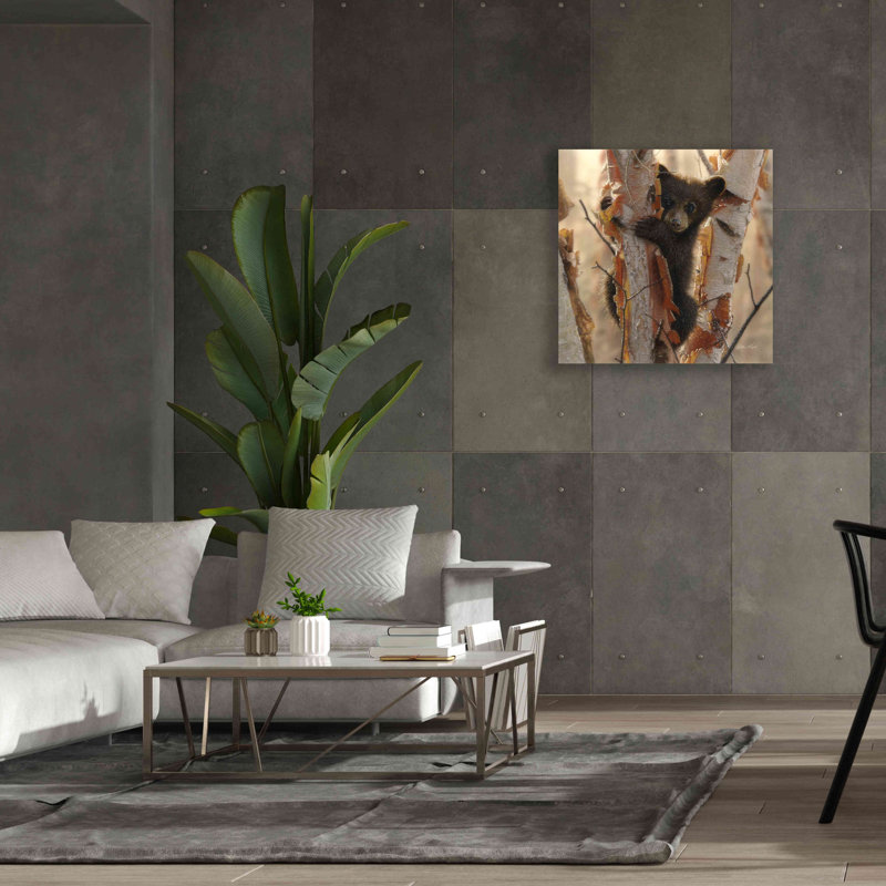 «Curious Cub II» par Collin Bogle, art mural sur toile, H 37 po x l 37 po x P 1,5 po