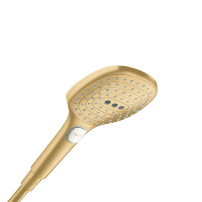 Tête de douche Raindance E120