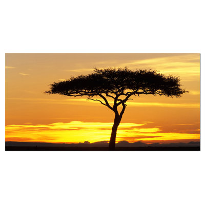 « magnifique coucher de soleil à l’arbre d’acacia », reproduction de photo sur toile tendue