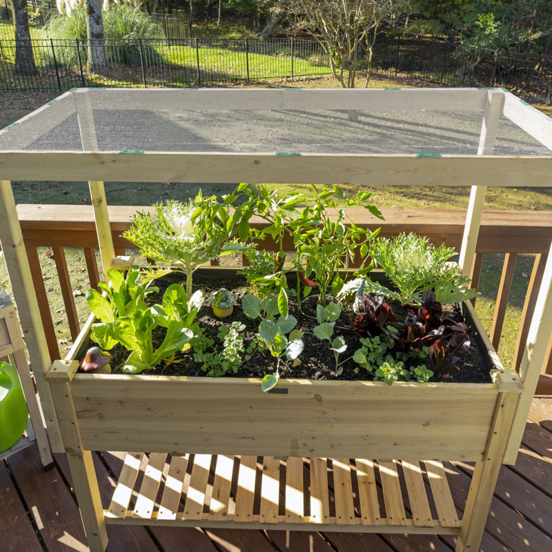 Coolaroo Fabric Replacement Canopy for Outdoor Gardening, White