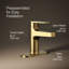 Taut Single-Control Lavatory Faucet with Escutcheon-1795070800