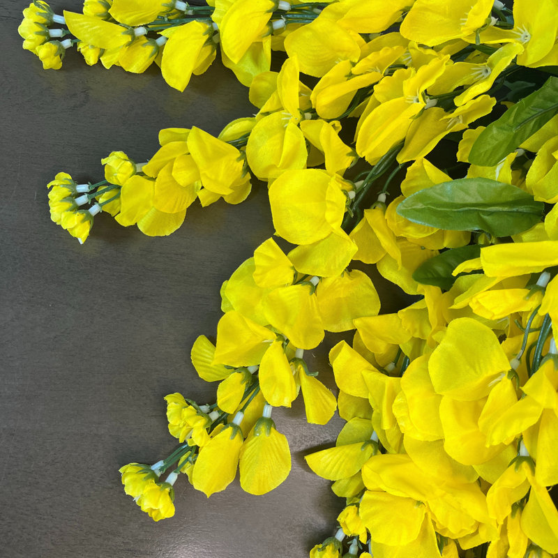 Fleurs et tiges de glycine, Jaune