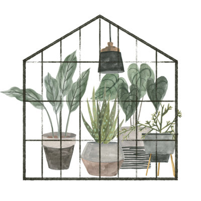 " My Greenhouse III " by Melissa Wang