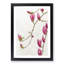 Pink Floral Flowers - Framed Print-56862976-56862977