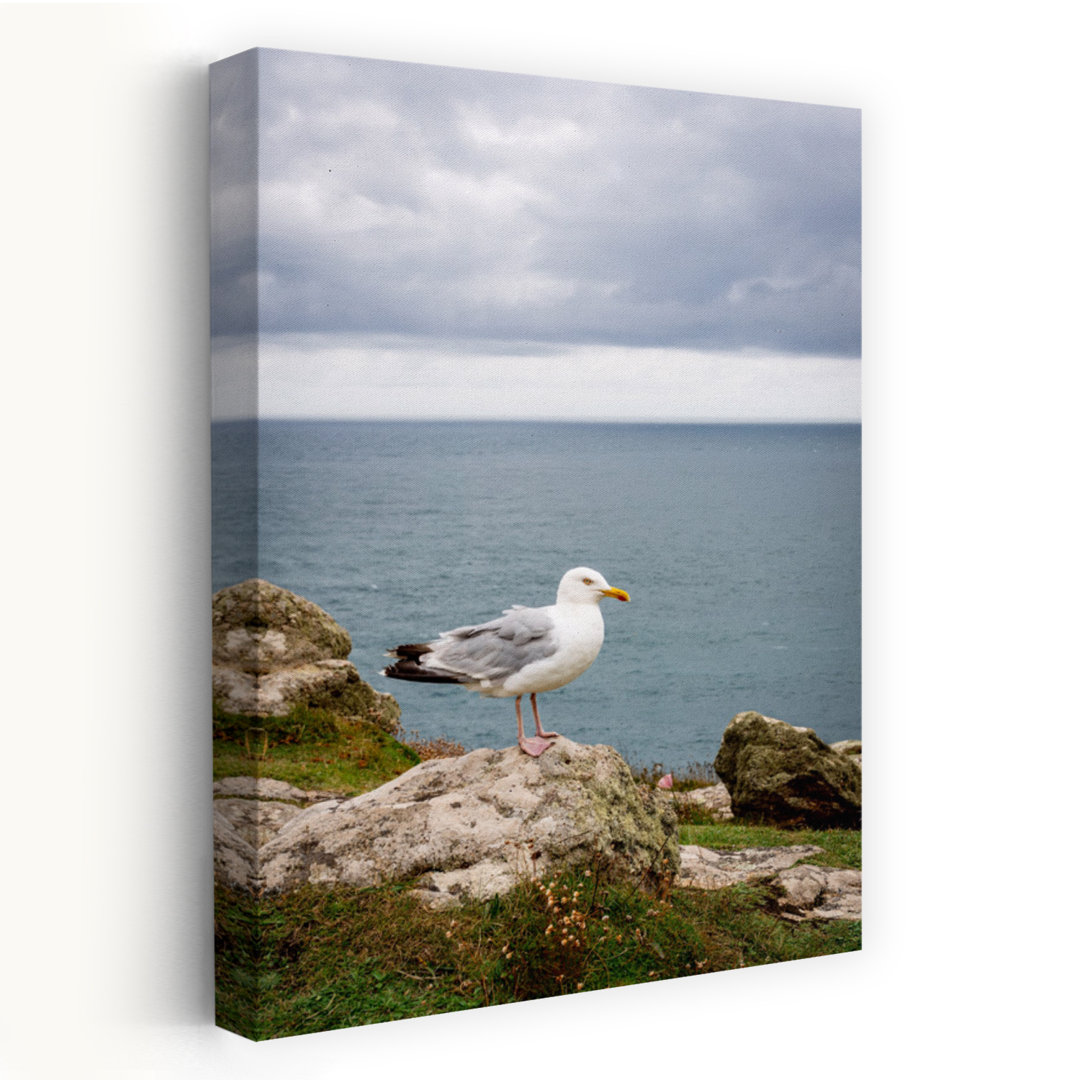 Coastal Seagull Ocean View Peaceful Serene Abstract Seagull Bird Coastal Nature Wall Art Print